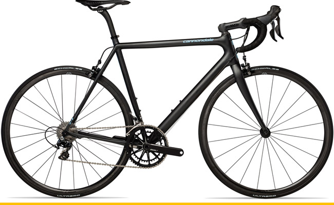 The Best Road Bikes for Every Rider 最佳公路自行车选购